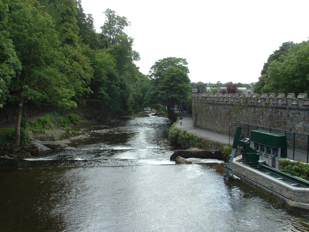 River Tavy at Tavistock with leaf scoop by snashtastic