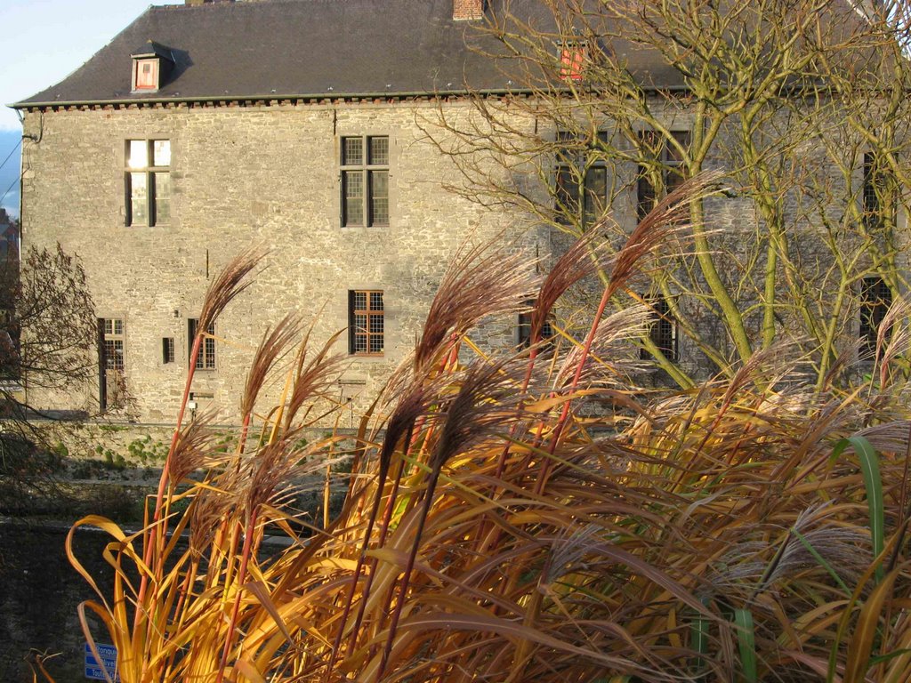 Ecaussinnes Chateau Fort sous le soleil d'hiver by philippe.brognon