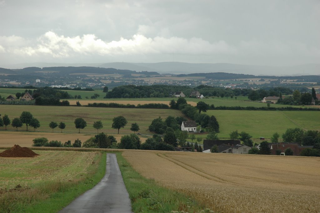 LIPPE IM JULI II by H.Blum