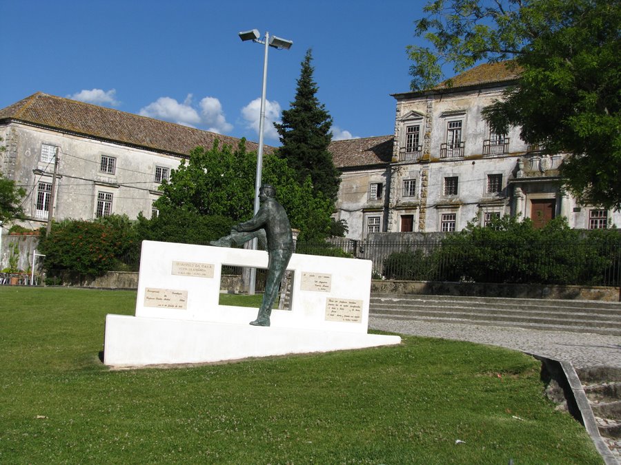 Praça da República e Palácio dos Duques de Aveiro by Barragon