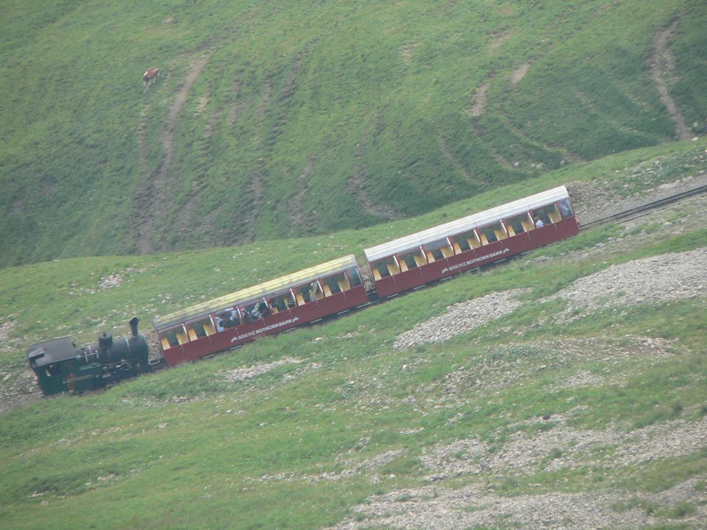 Brienzer Rothorn, Dampfzug by Walter Meienberg