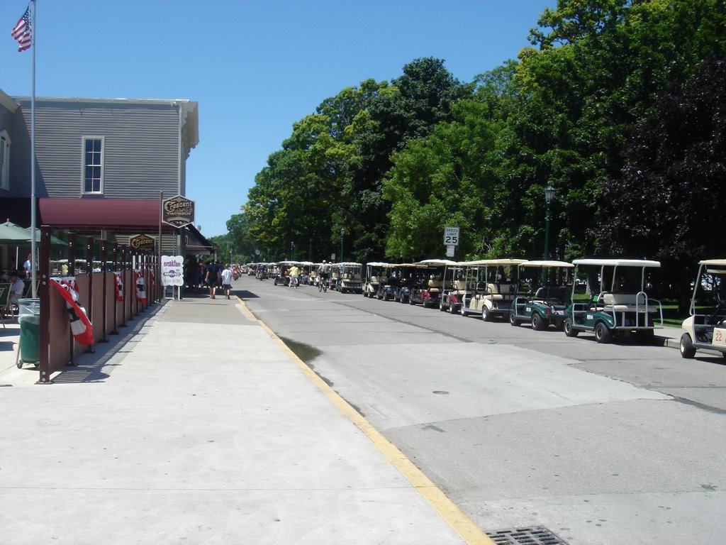 Golf carts lined up on Delaware Ave on 4th of July, 2008 by Jameh