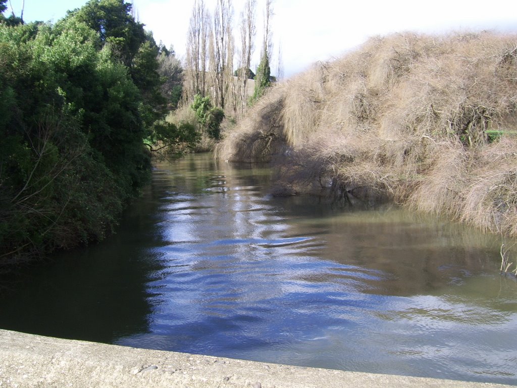 Río Damas by Omar O. Acuña