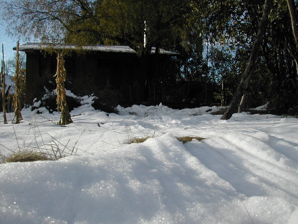 Cuando llegaba la nieve a Recinto by isaacperalta