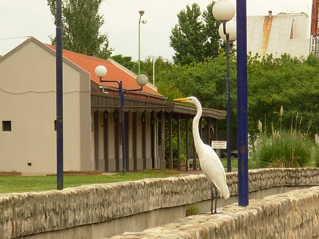 Centro Civico- Antigua estacion FF.CC. Mitre by rgolu