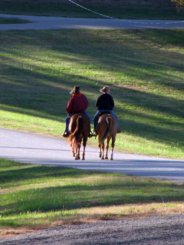 Heading Home by bigdog0862