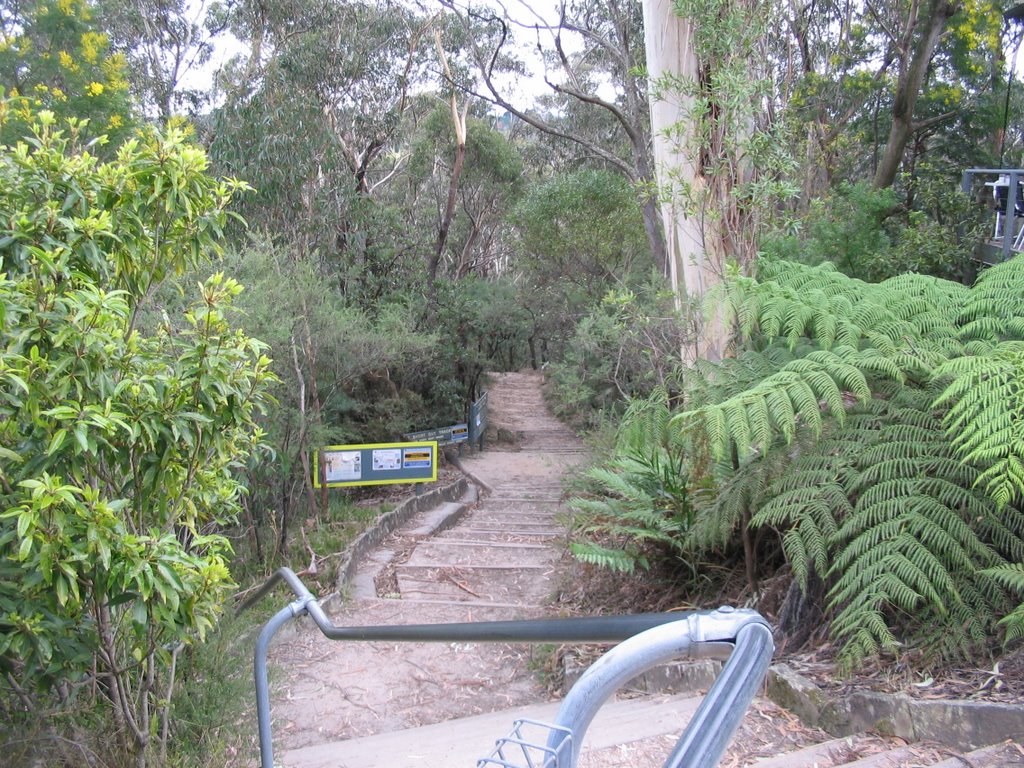 Wentworth Falls Walking Trail by wood26