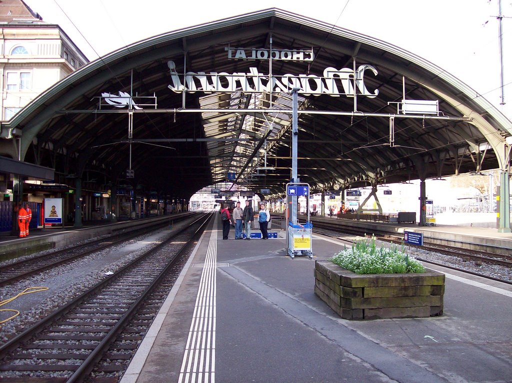 Railway station at St. Gallen by gulyaslaci