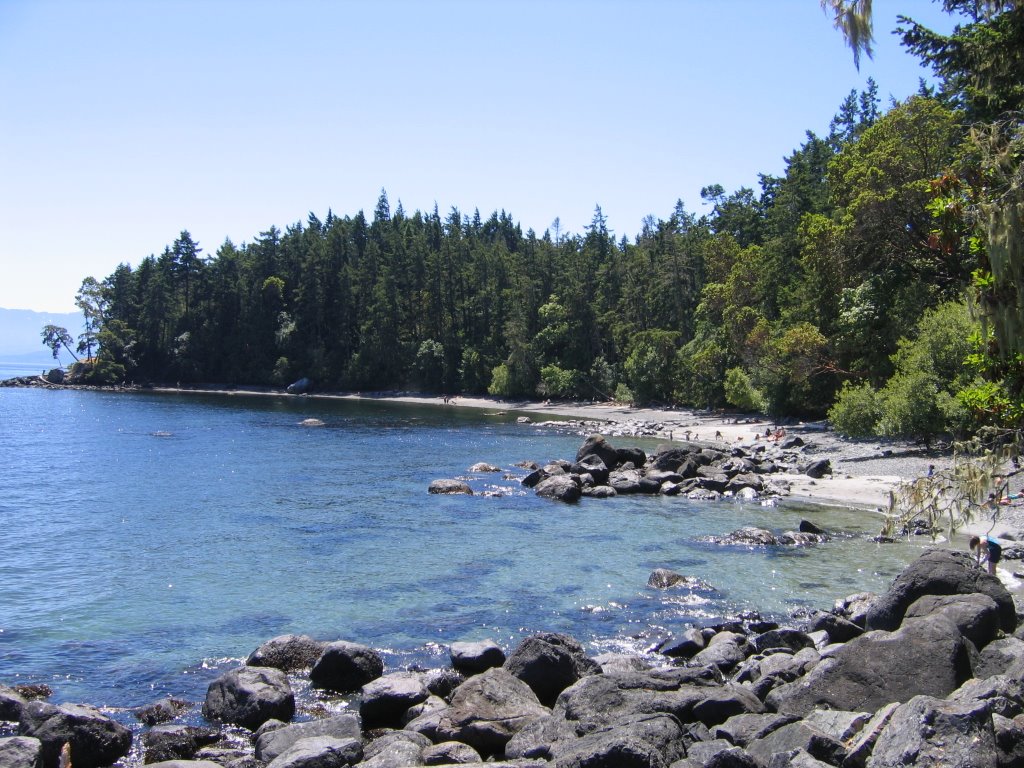 Shore & Beach looking SW by Jonathan Arnold