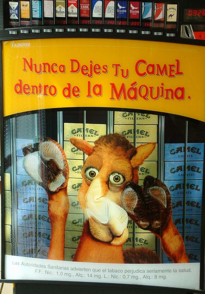 Nunca dejes tu camel... by el topo