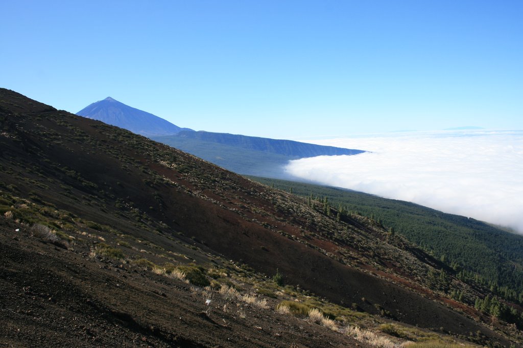 Teide by fran_rodri