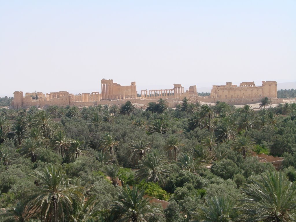 Palmyra from heliopolis hotel by aroub