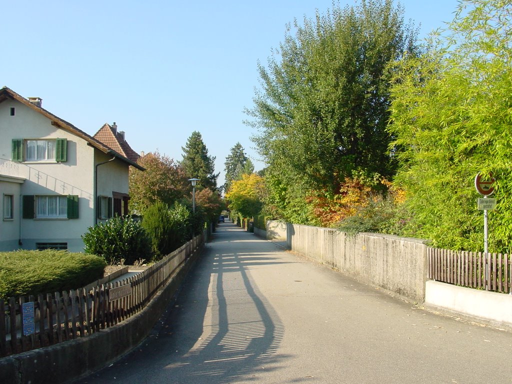 Zofingen - Junkermattstrasse by greenplanet