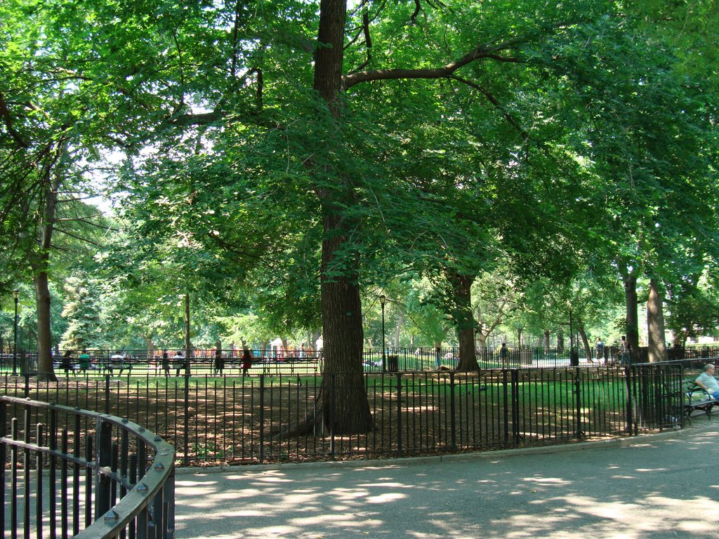 Tompking Square Park by ECHA CHEN