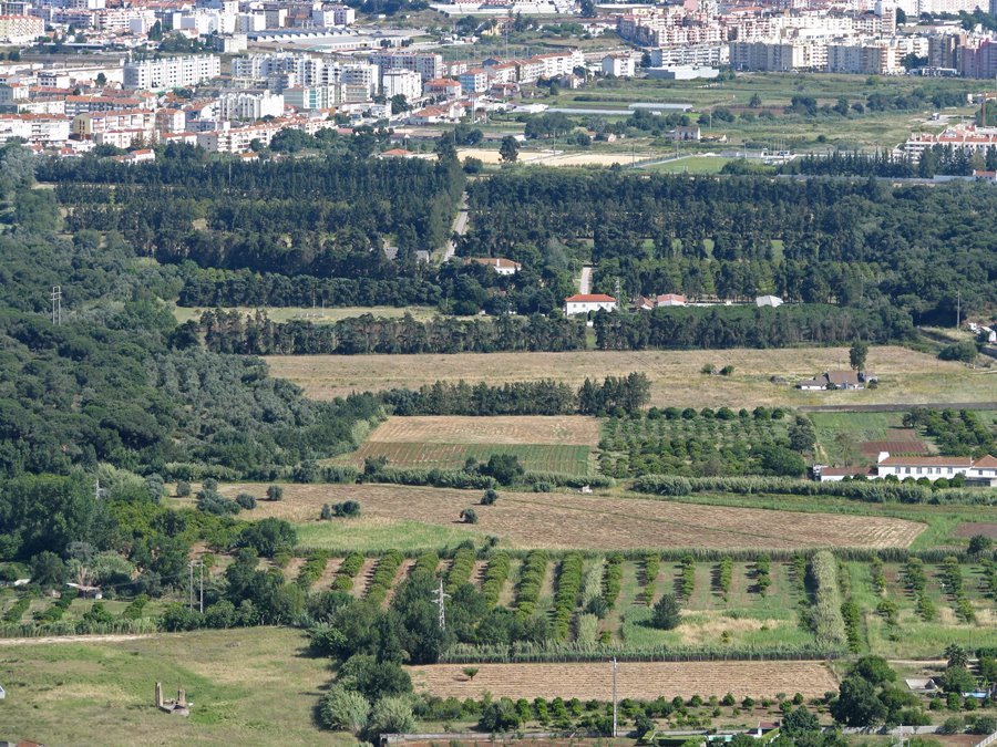 Vista para a Várzea de Setúbal by André Barragon