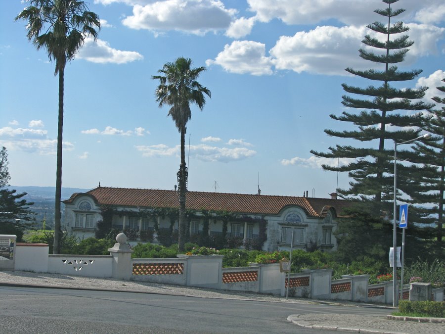 Estrada dos Curadores de Palmela by André Barragon