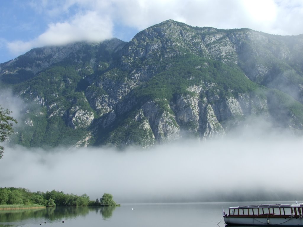 Fog bohinj by Nathan de Vries