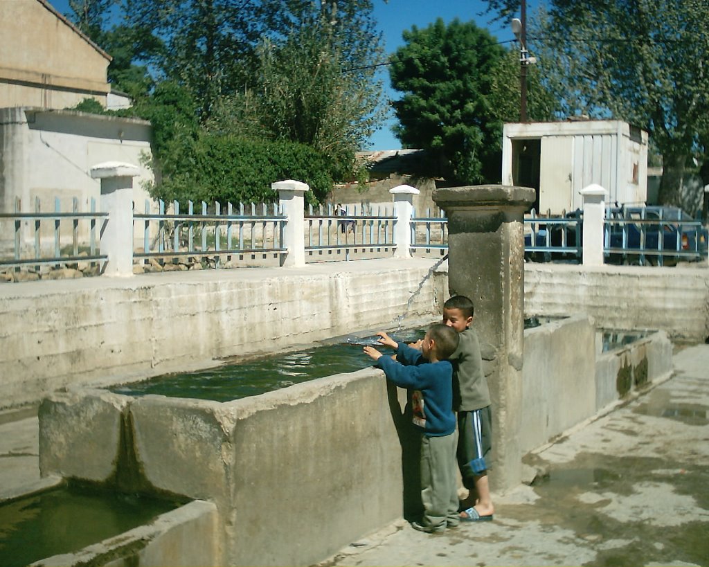 Ain trabe by kamel zaamouche