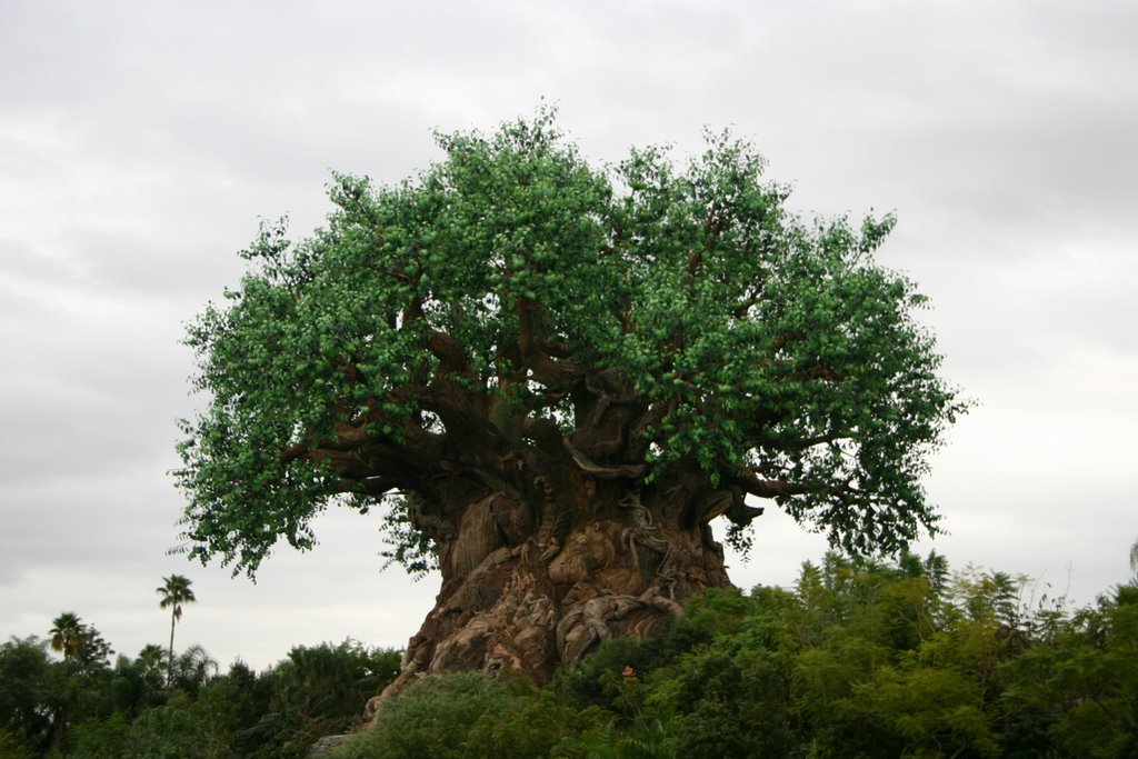 Tree of Life, Animal Kingdom by Amy and Frank