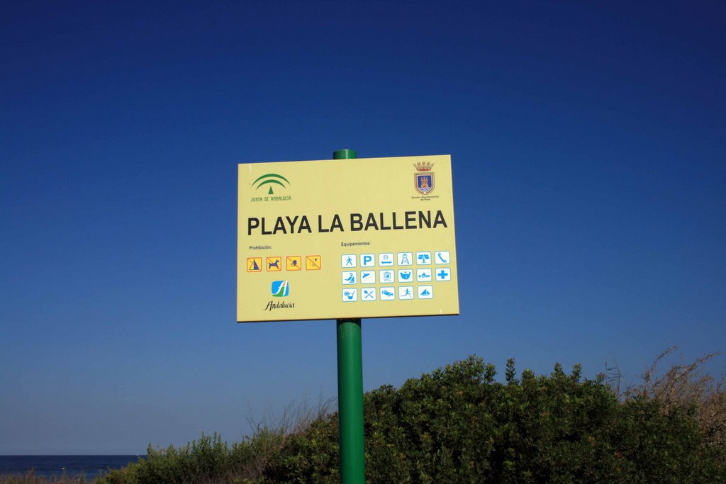 Playa ballena by jlmunoz