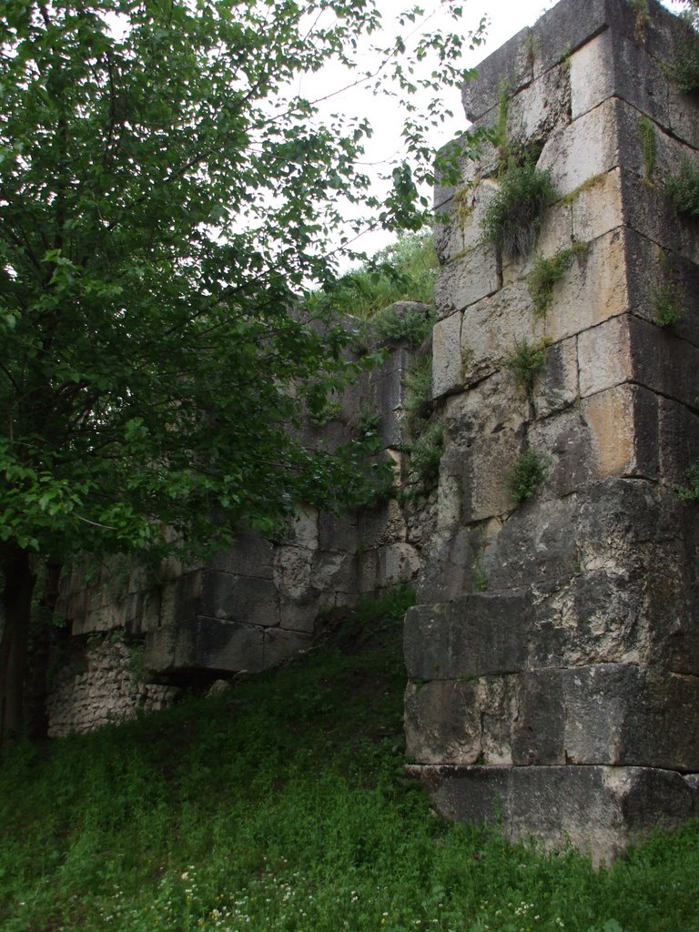 SİLVAN KALESİ -GATE (Diyarbakır kapısı) - FOT. NEJAT SATICI by nejat satıcı