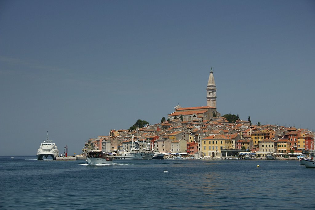 Rovinj old Quarter with St Euphemia Church by Murray Geddes