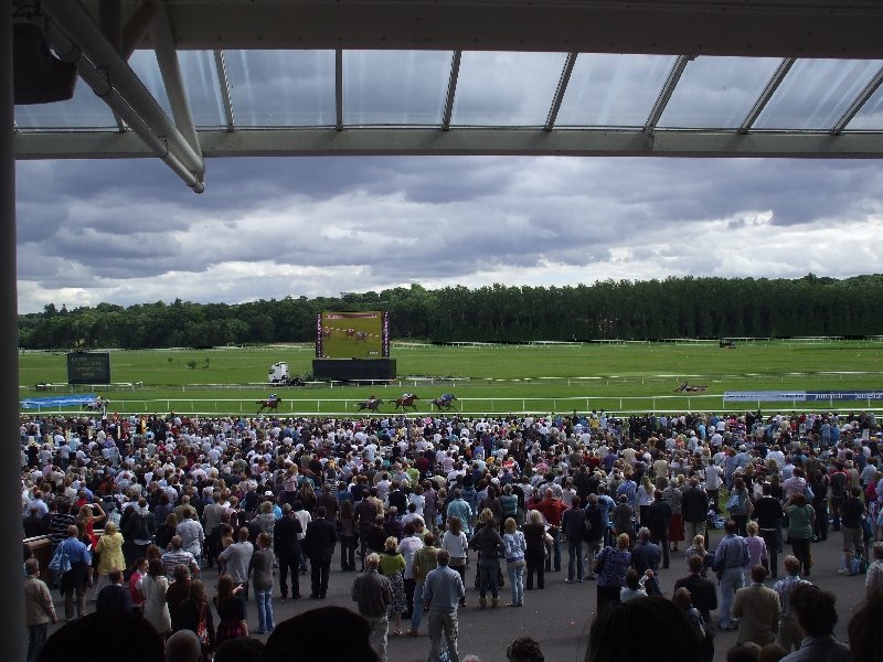 At the races in Newbury (2008) by jk1812