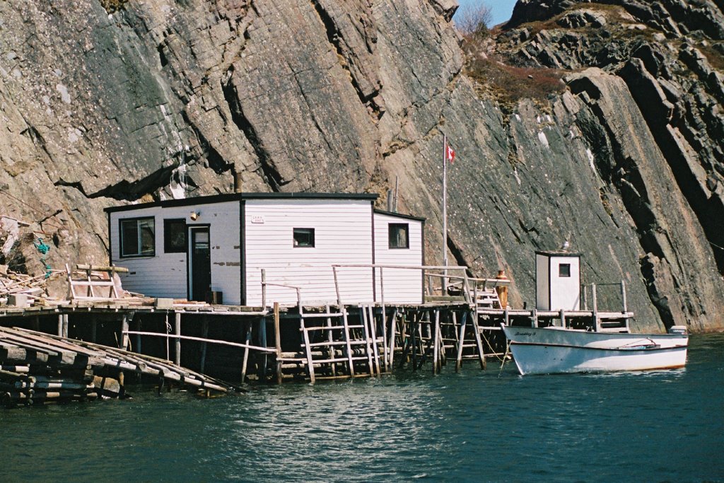 Quidi Vidi by Randy Brennan