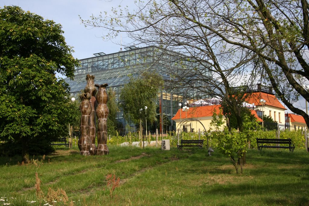 Zielona Gora, Poland by Edward Kaczmarczyk