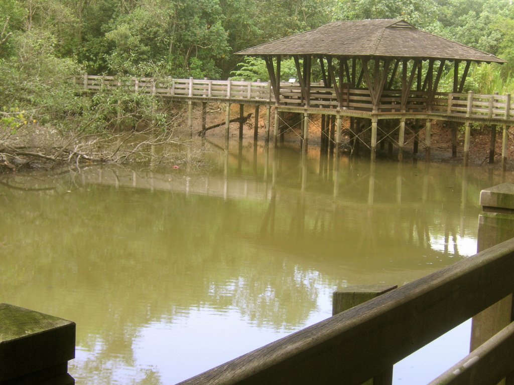 Wetland Reserve by Tropentier