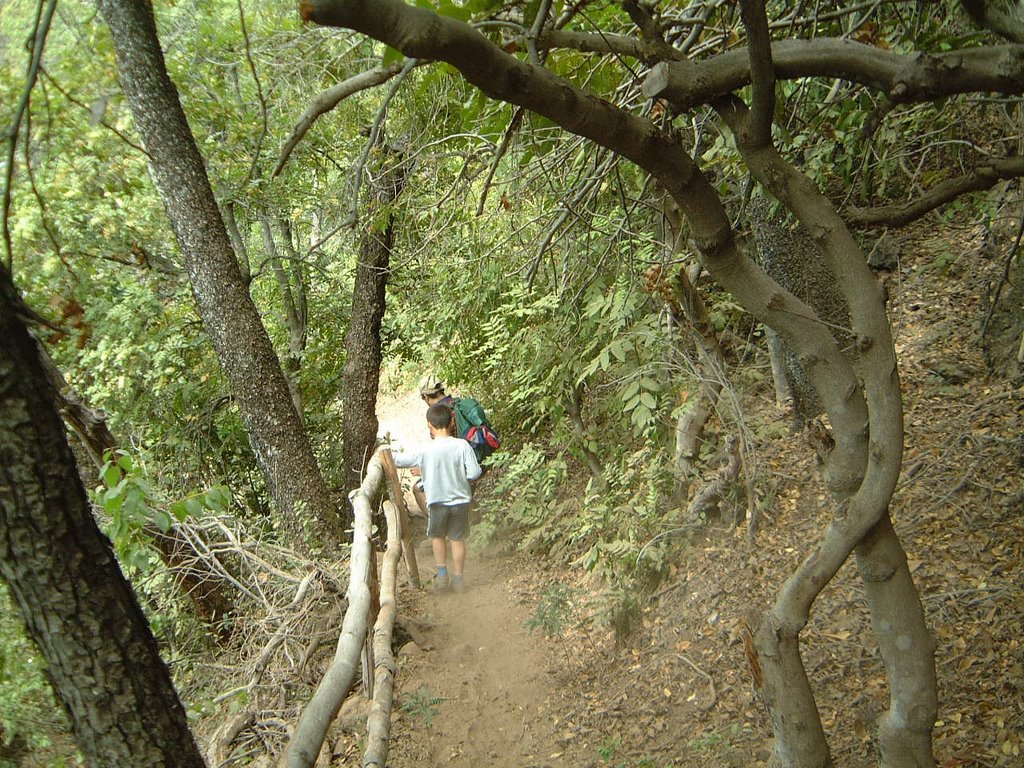 Camino bordeando el río by R F Mery C