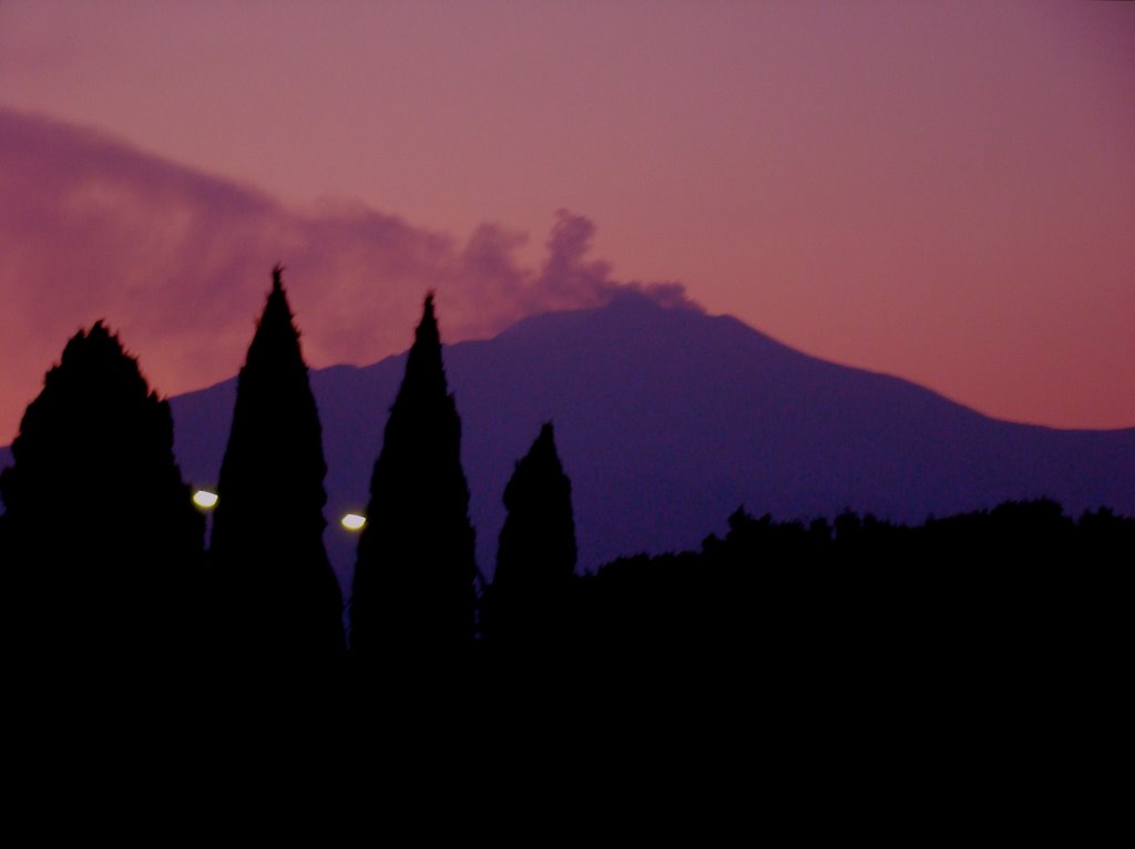 Mt. Etna Sicily by Wayne Leone