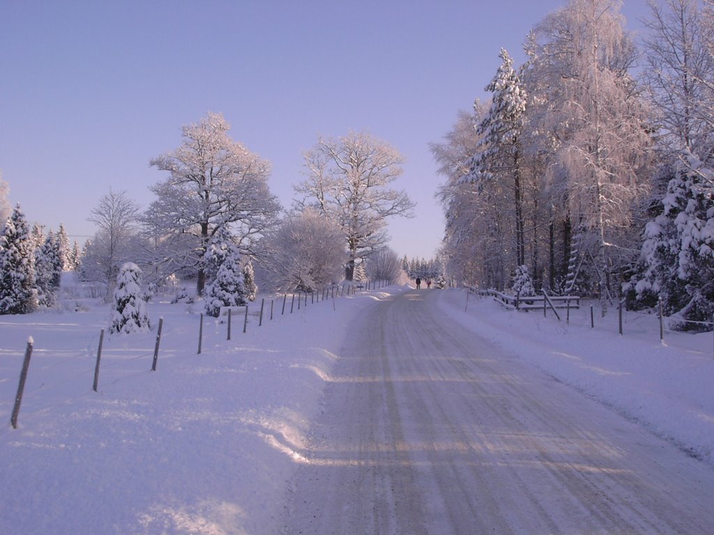 Gödeberg im Winter by Hermann Hammerschmidt