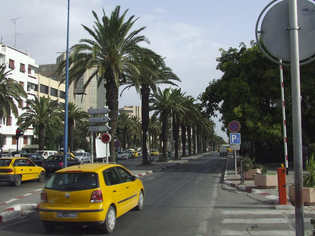 Mahamed Ave, Tunis by Ádám Fejes