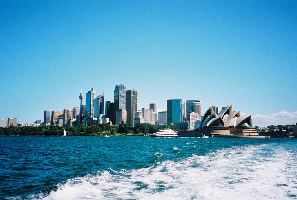 Sydney Skyline by Amy and Frank