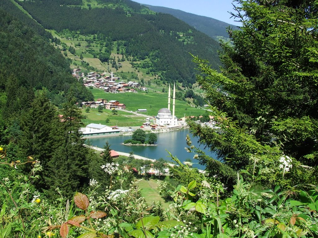 61940 Uzungöl/Çaykara/Trabzon, Turkey by Mehmet Ercan