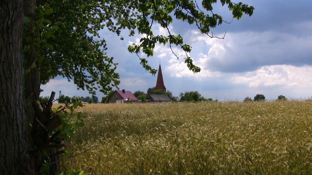 Wśród pól z widokiem na kościół w Radomnie by Mieczysław Berezowski