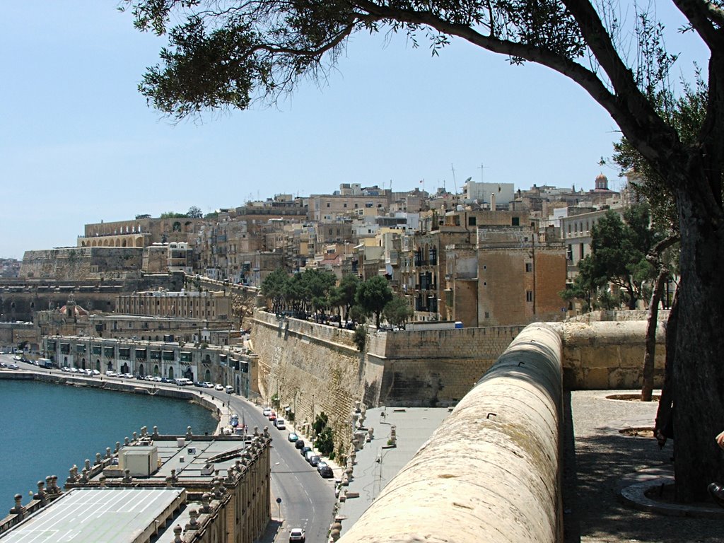 View from Barracca Gardens, Valletta by nolene dowdall