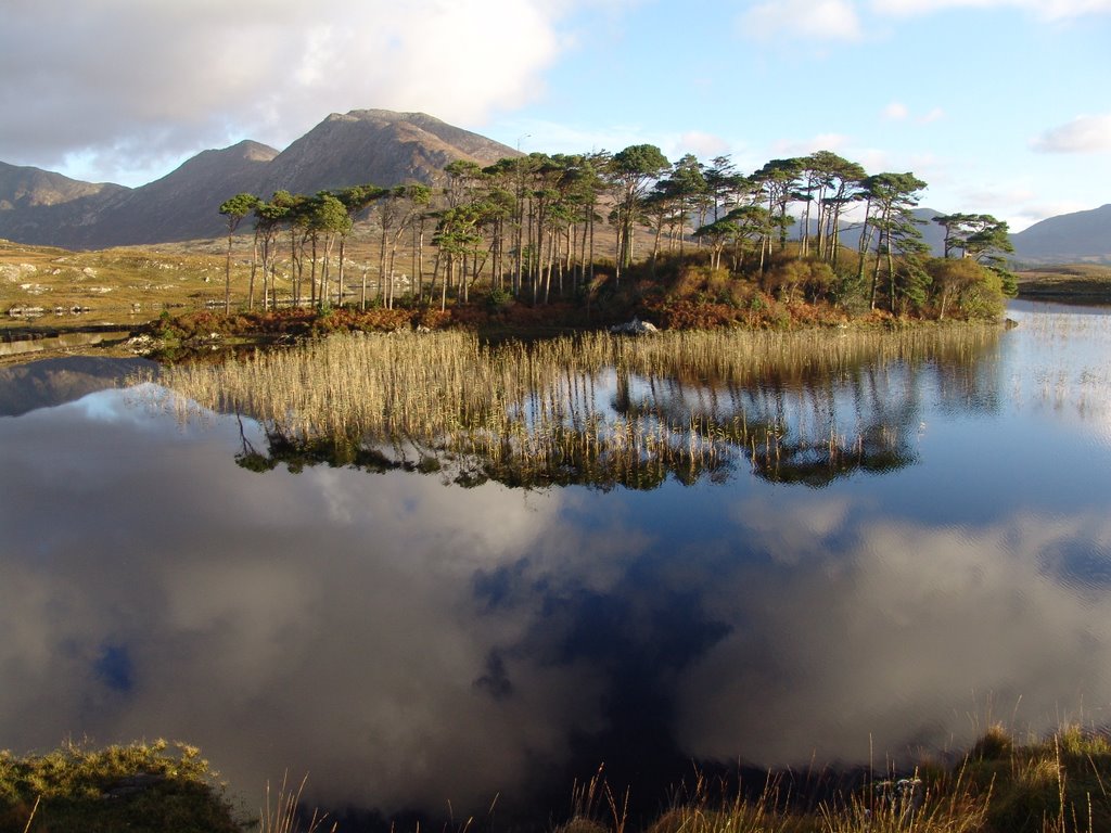 Reflexes a Connemara by Jordi Cruells Ros