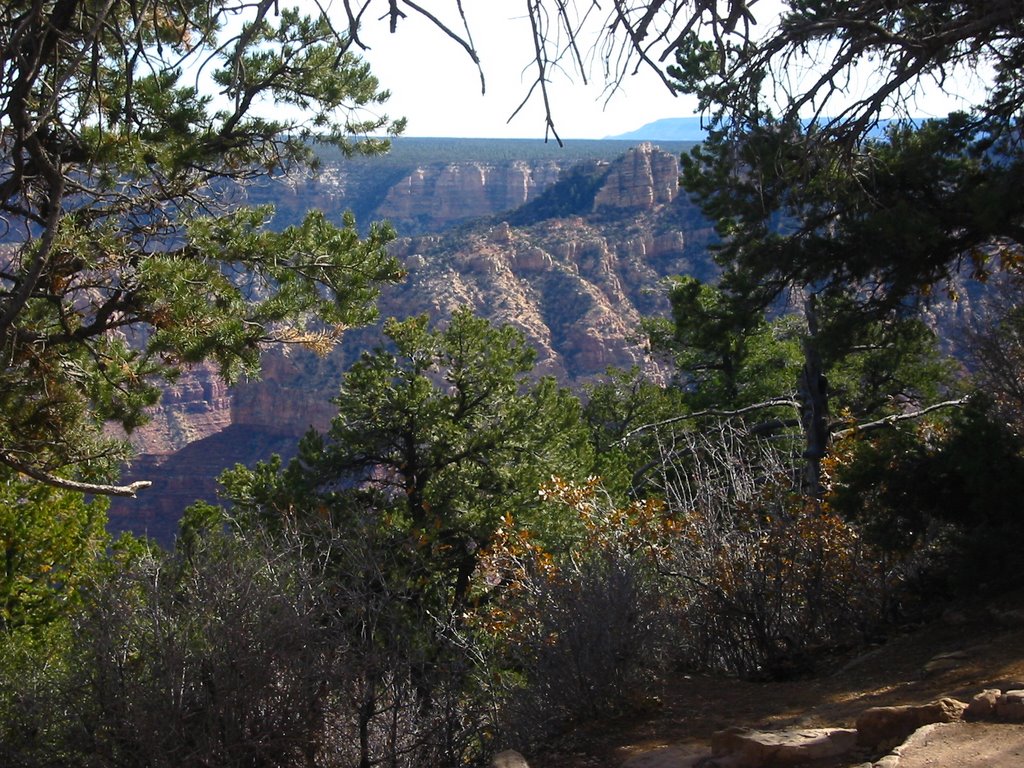 Coconino County, AZ, USA by Tino V