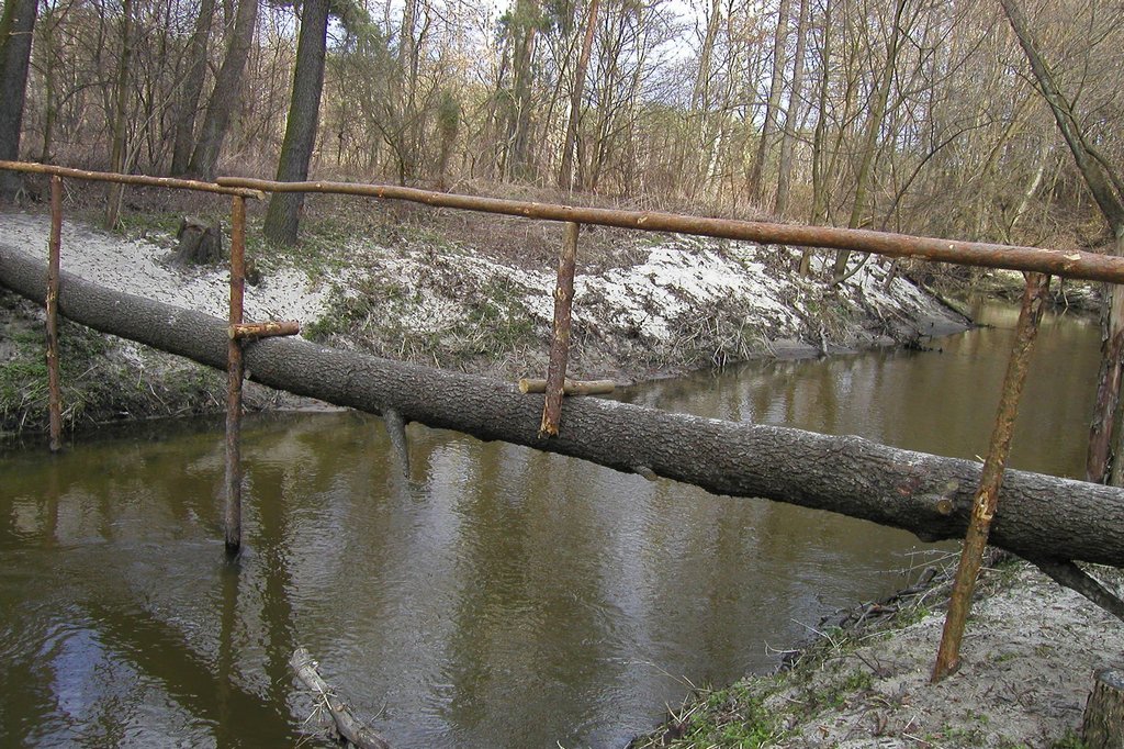 Mienia river-spring,near Warsaw by Tadeusz z Falenicy