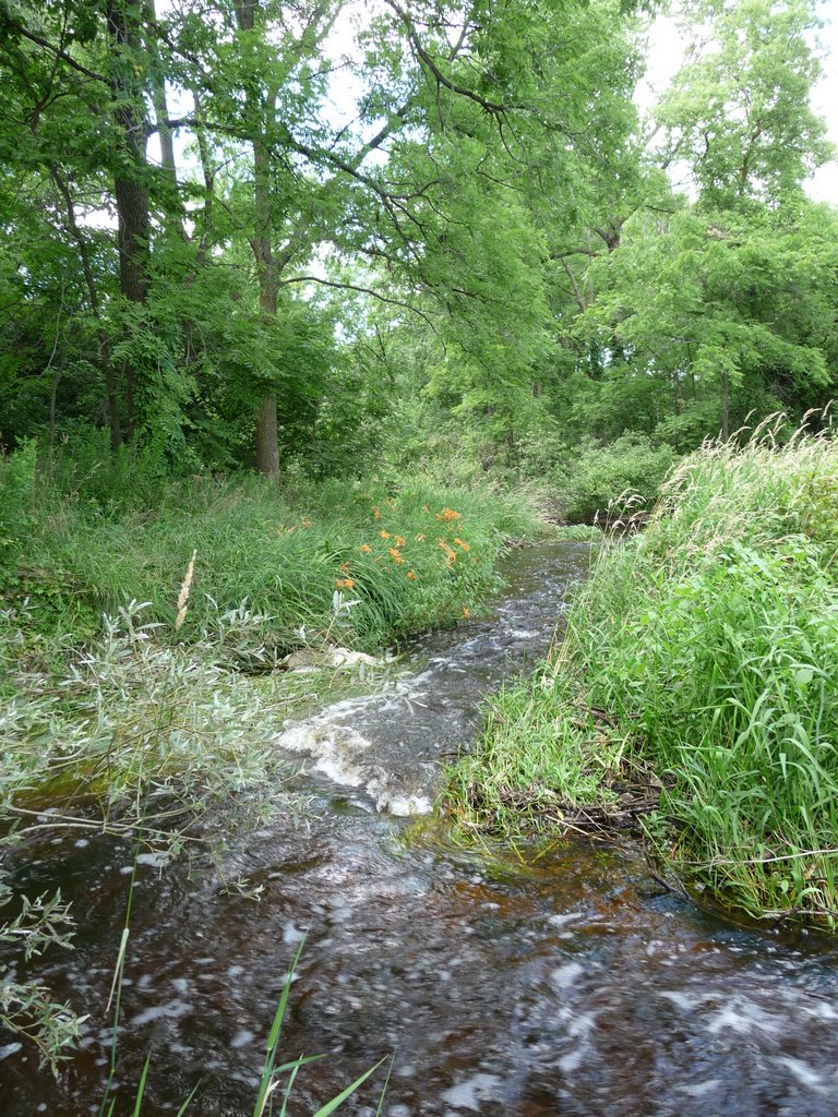 Moffat Creek by Mike Chownyk