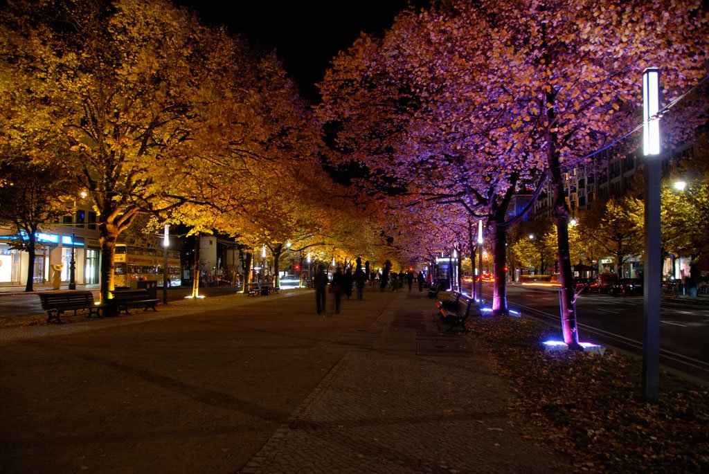 Unter den Linden in Berlin by rod56ger