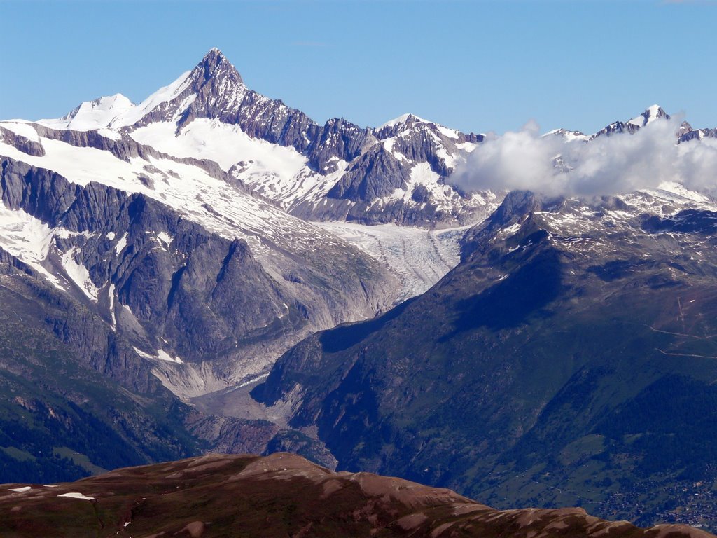 Finsteraarhorn mit Fieschergletscher by Burgener  Norbert