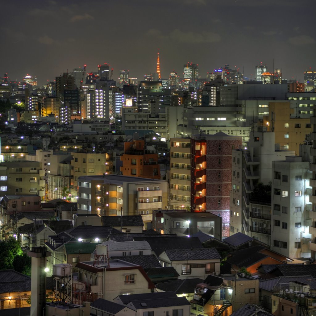 Tokyo Tower distant view south from Otsuka (896) by www.tokyoform.com