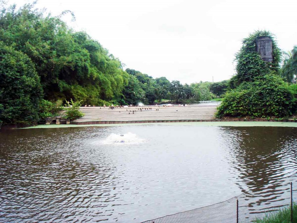 Lago do Instituto Ricardo Brennand by Guilherme Coelho