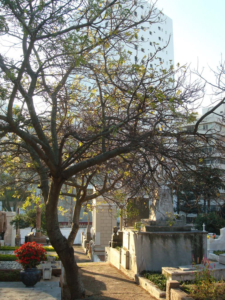 Consolaçao Cemetery by Emiliano Homrich