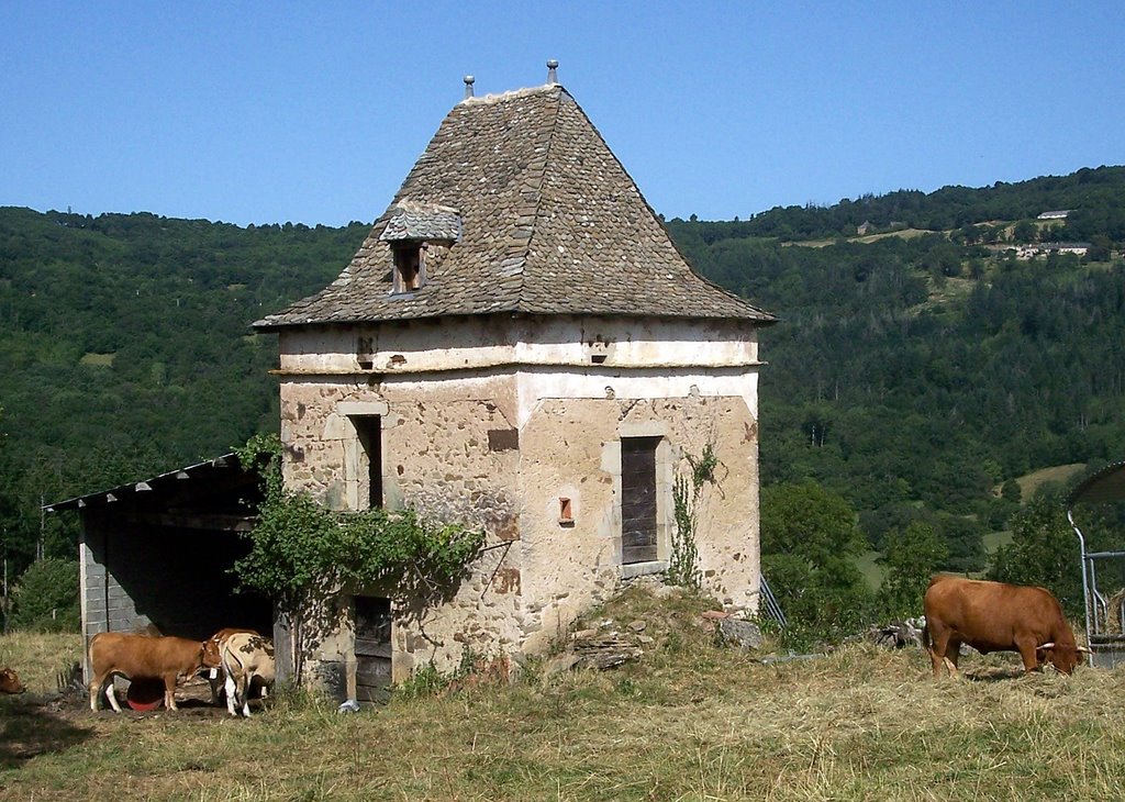 NAJAC - Pigeonnier à l'entrée du village. by Jean THIERS