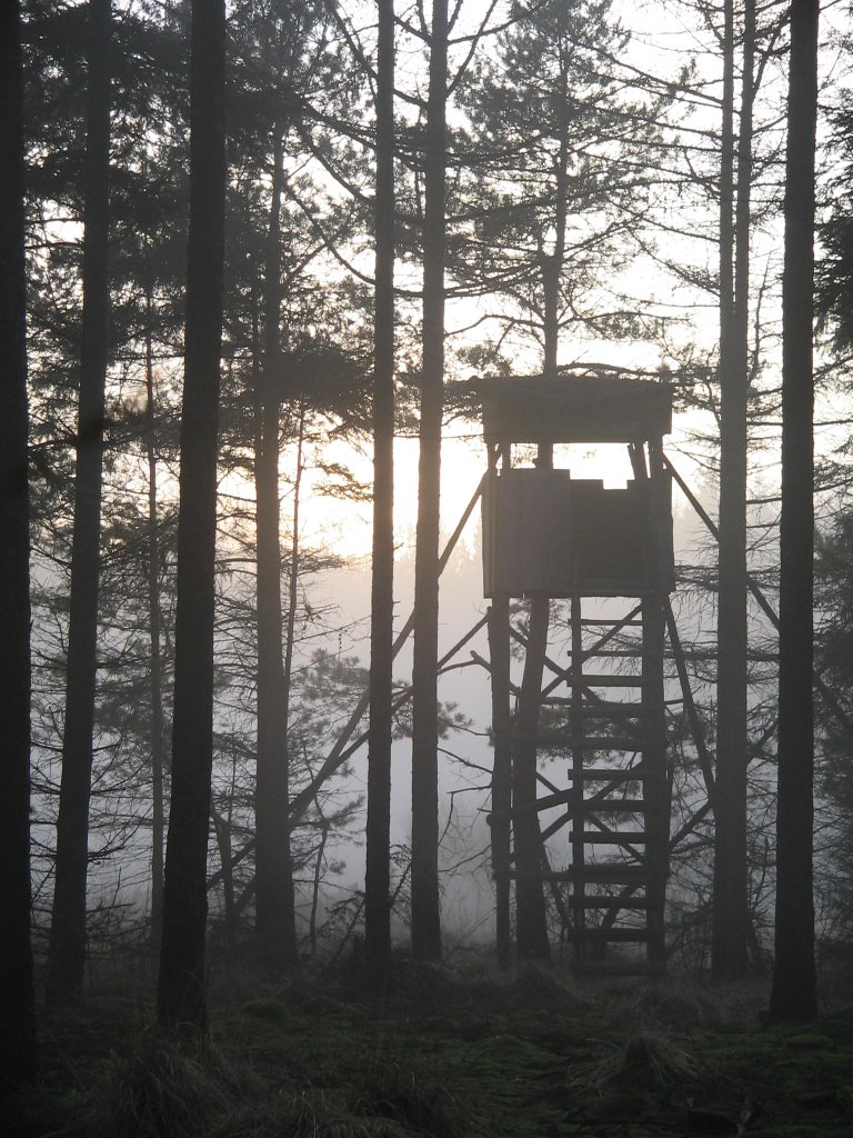 Hochsitz in Frühjahrsdämmerung by wreboshirk