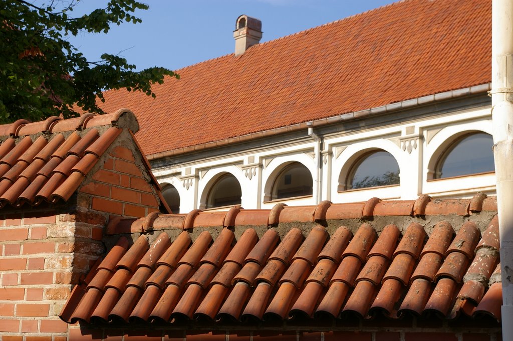 Lithuanian Technics Library (former monastery building) 2008-07-24 by TomasM